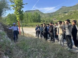 山东省地矿工程勘察院团委组织开展岱崮地貌野外地质培训