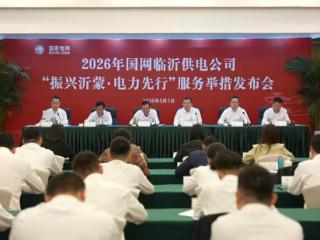 节省办电3.45亿元、11.8万户享受到“一户一表”优质服务 国网临沂供电交出2025年民生答卷