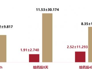 痛风急性发作怎么救？金蓓欣临床应用指南