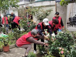 合伙花圃共建打造 志愿聚力扮靓家园