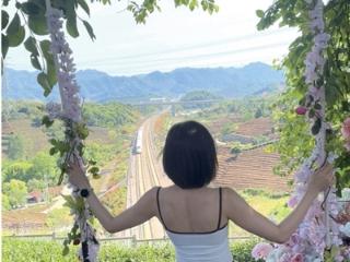 杭州茶山上这架“与高铁同框”的浪漫秋千又拆了