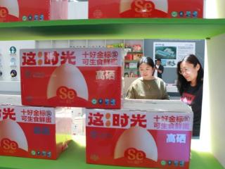 农品搭上机车快车！临沂罗庄借力汽摩盛会让“好品”驶向全国