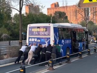 太“银翼”了！被长春街头这场双向奔赴暖到了