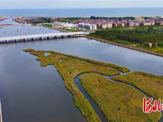 秦皇岛北戴河新区持续推进饮马河流域生态治理