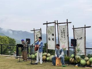 从“单打独斗”到“组团出道” 浙江乡村发展走出新路