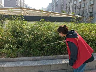 济宁市任城区李营街道薛口社区开展“禁种铲毒全覆盖 禁毒宣传入人心”活动
