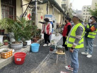 济宁市任城区金城街道牛市社区开展“信用+禁毒踏查”志愿服务活动
