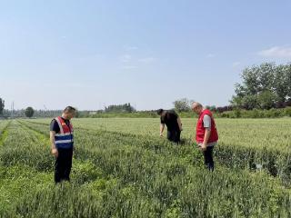 徐家楼街道宅子村：全覆盖踏查 无死角管控 扎实推进禁种铲毒落地见效