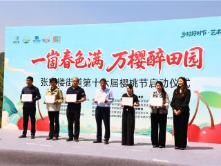 一崮春色满 万樱醉田园 青岛西海岸新区张家楼街道第十六届樱桃节启幕