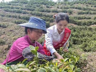 工行凯里榕江支行：金融“活水”润乡土 绘就振兴新图景