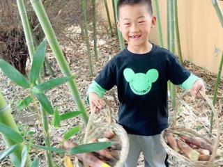 竹林寻鲜 笋香满溢 青岛市即墨区金口中心幼儿园开展食育主题活动