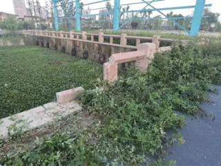杭州运河总管堂这段游步道怎么成这样了？