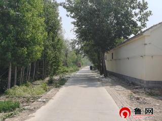 【一村一件实事】德州市陵城区安德街道孙家洼村：村委铺就民心路 实干打通致富途