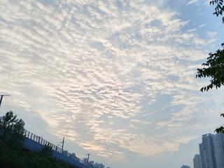 未来几天安徽多雷阵雨