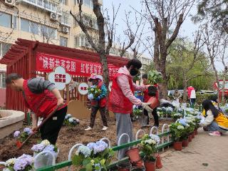 大兴观音寺街道534㎡“微花园”上新：多方共绘家门口的“诗与远方”