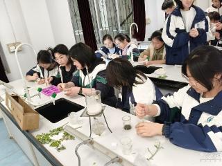 亲手接种、观察菌落、制作泡菜 这所高中的生物科技周好“燃”