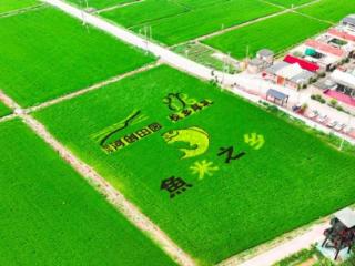 漫步黄河岸边 感受生态之美——槐荫西部近郊成为市民周末“微度假”新选择