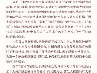 长隆野生动物世界：大熊猫“家和”因病不幸离世 “婷仔”体征相对稳定