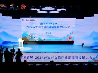 2026泰安文旅大会亮“成绩单”：2025年接待游客超9400万，入境游增幅122.8%