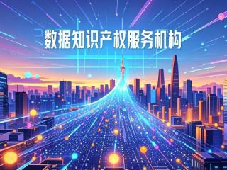 聚焦五大维度！贵州启动数据知识产权服务机构“大考”