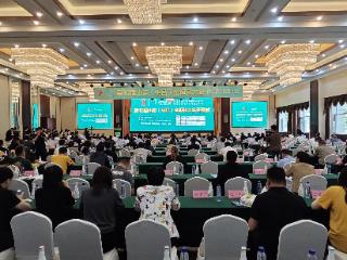 鲁网观察| 山东平邑的一株金银花何以开出55亿产值？