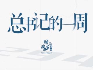 时政微周刊丨总书记的一周（5月11日—5月17日）