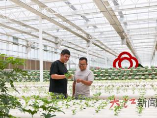 这里的菜棚有“智慧”（图）