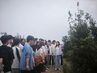 把论文写在万亩茶山 河南农大师生信阳茶乡实践育人赋能产业发展