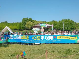 夏日露营交友派对让单身青年在绿荫下遇见美好
