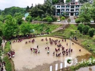 凤冈：走出课堂入田野 农耕研学长见识