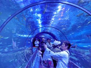 打卡新澳海底世界