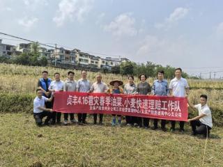 快速理赔暖民心 筑牢粮安保障线--中国太保产险黔西南中支践行金融为民初心 护航粮食生产安全