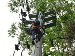 南方电网兴义供电局：清障消缺除隐患 筑牢电网安全防线