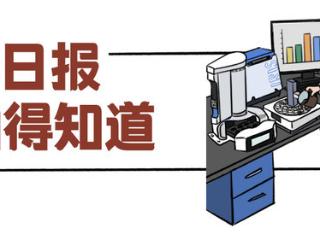 百姓看日报 ｜ 药材好不好 “画个像”就知道