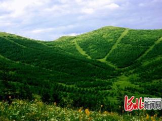冀北山地华北落叶松人工林结构化经营技术全面推广