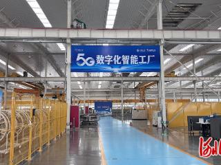 走进景县：“产业大脑”如何为中小企业“量体裁衣”