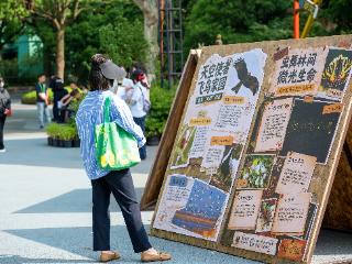 3672个物种+22个新记录！南京生态底气拉满
