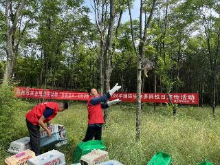 国际生物多样性日当天，郑州放飞一批野生动物