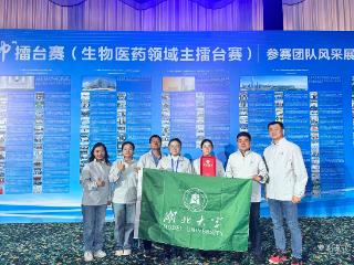 连续三年拿下国际大赛金奖 这群湖北青年用基因代码回答科技报国