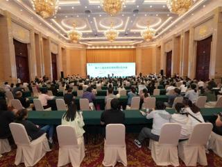 从区域诊疗到全球对话：石家庄糖尿病防控，走出一条中国式慢病管理新路