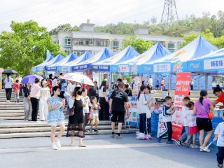 奋楫逐浪迎端午 龙舟为媒聚湾区 2026年粤港澳大湾区（深圳・宝安）茅洲河龙舟赛圆满收官