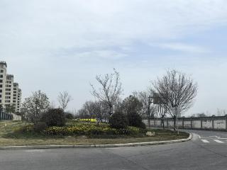 江北新区星甸街道：小小花坛扮靓街角 家门口再添新地标