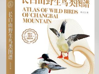 《长白山野生鸟类图谱》：40余年坚守，他把长白山331种鸟类绘成这部生态典籍