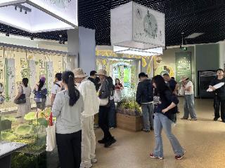 菁汇社区：踏林探秘寻足迹，知青精神润心田