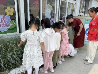 蔺坊社区：经纬交织承匠心，草间生趣暖邻里