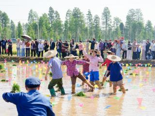 和美乡村直播间|云端传农韵 直播助振兴