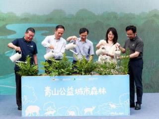 城市里的森林：当动物园悄然发生变化，野生动物回来了