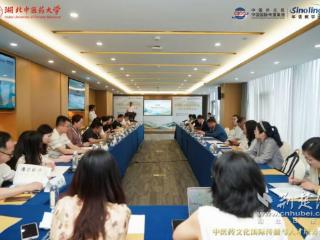 湖北中医药大学举办中医药文化国际传播与人才培养会议