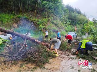 湖南桑植：风雨逆行担使命 干群并肩共护安澜
