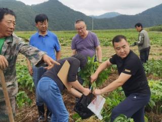 坚守初心使命 担当时代重任｜长白山下的“参情”守望者